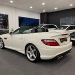 MERCEDES SLK 250 CDI AMG (VENDIDO) full